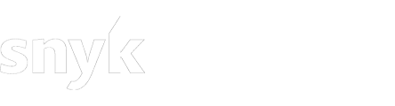 snyk-gemini-logos.png